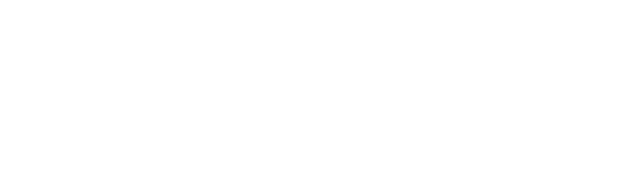 Fantasia — Official Selection 2007